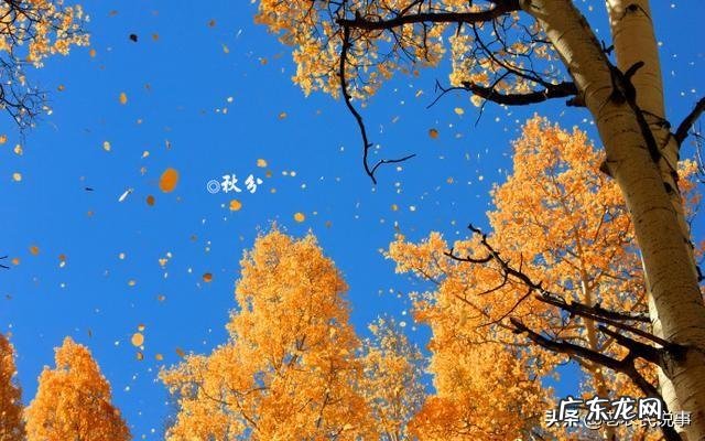 秋分节气到，农村俗语“春祭日，秋祭月”是啥意思？秋分有哪些习俗？