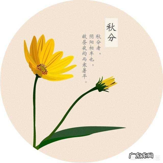 秋分节气到,农村俗语“春祭日,秋祭月”是啥意思?秋分有哪些习俗?