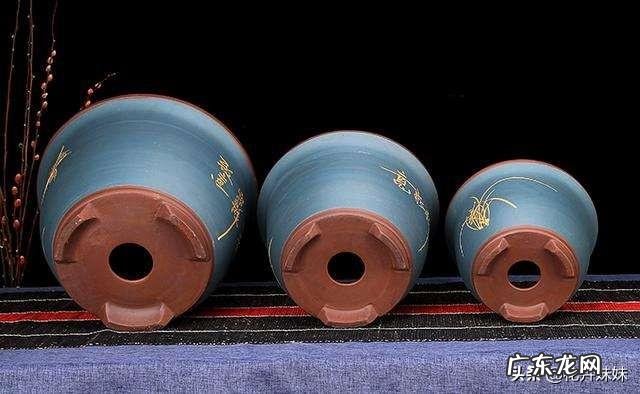 养殖杜鹃花使用什么花盆比较好?