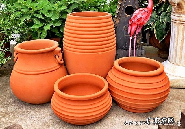 养殖杜鹃花使用什么花盆比较好?