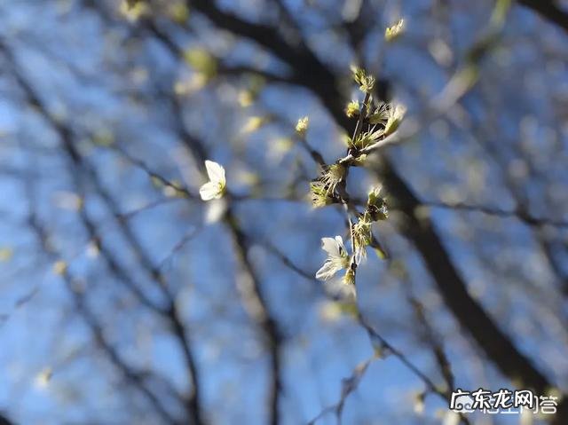 你觉得爱情里面,双方性格互补和不同哪种可以更长久合适呢?