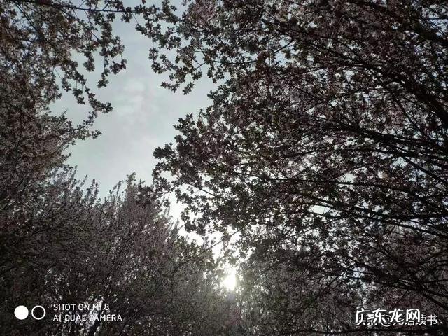 为什么和有些男生谈恋爱不到几天就可以亲亲抱抱举高高，但是有些人好几个月了，手都没牵过？