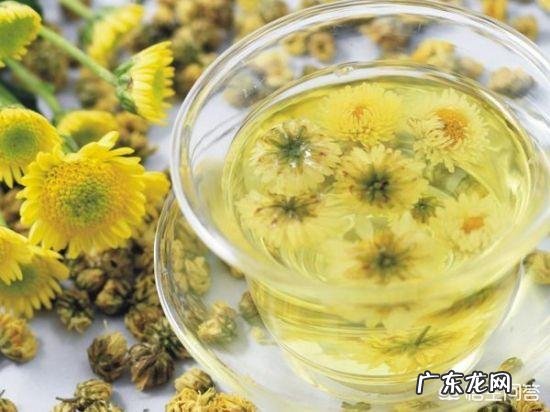 秋季适合喝什么茶?喝什么茶最养生?