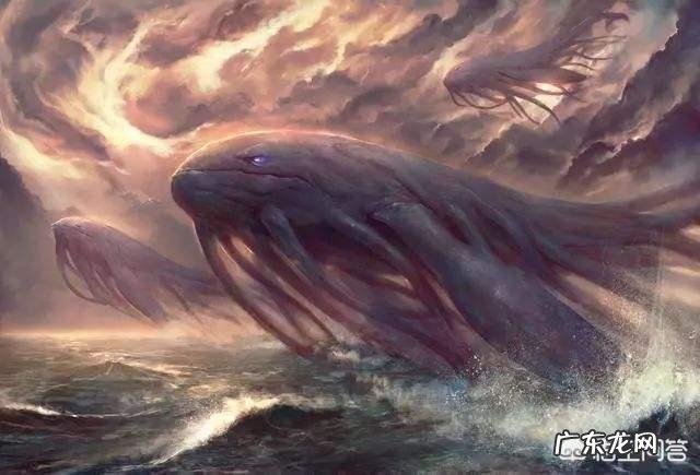 海洋里什么动物最大?蓝鲸和鲲是一种动物吗?