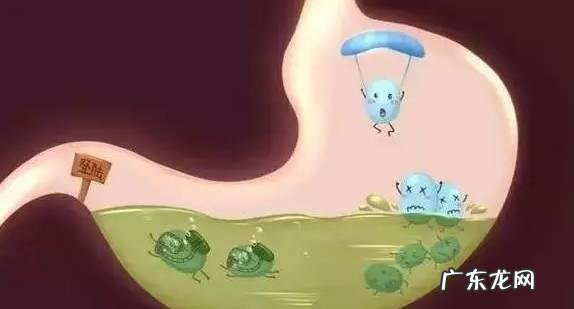 一杯酸奶的能量等于两杯可乐吗?