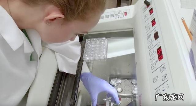 一杯酸奶的能量等于两杯可乐吗?