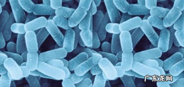 一杯酸奶的能量等于两杯可乐吗?