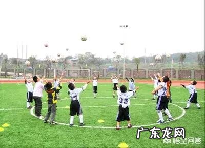 小学生学习体育运动技术、发展运动能力与促进健康有什么关系?