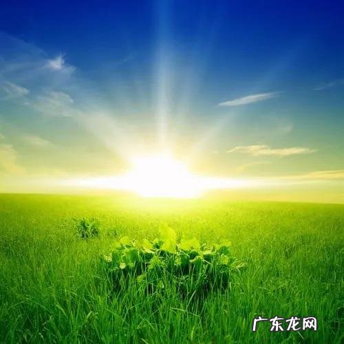 一个人的微信头像可以代表一个人的气场和运势,来说说你的头像是什么,我来为你分析?