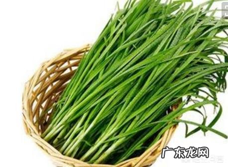 春天的韭菜是最新鲜的,怎么样的做法会让韭菜更好吃?