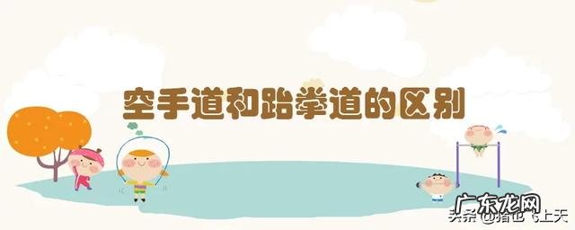 空手道和跆拳道有什么区别,看上去差不多?