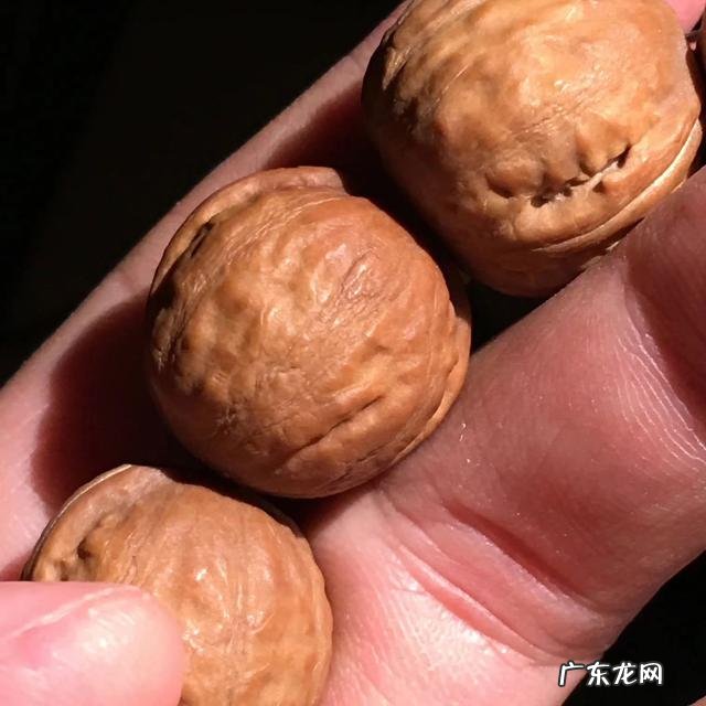 小核桃手串怎么盘?