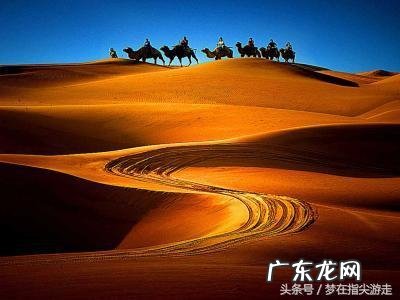 枸杞子是最廉价的“水果伟哥”这是忽悠人的吗?