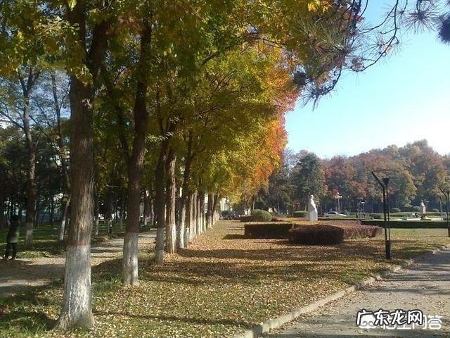 高考分数可能只够三本和专科的,是去专科还是三本?