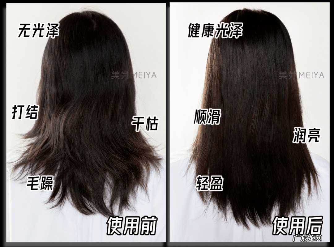 美女学霸养成攻略 美女如何养成