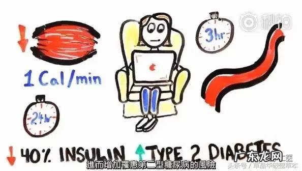 中草药里哪种泡水喝可以减肥?
