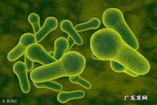 以前我们受了外伤,老人们总问打了破伤风针没有,破伤风是什么意思?