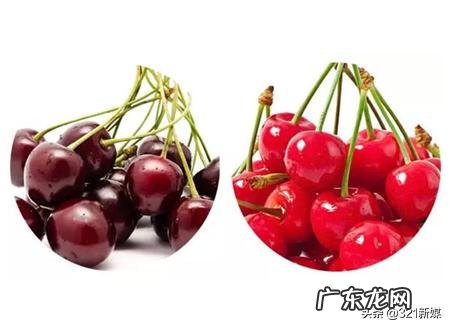 樱桃跟车厘子哪个营养价值高?为什么?