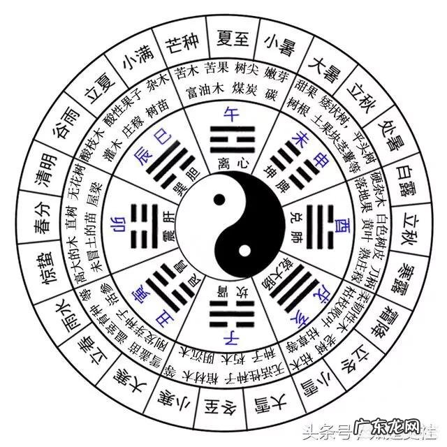 什么是易经的理、数、象、卦、辞?可以具体解释一下吗?