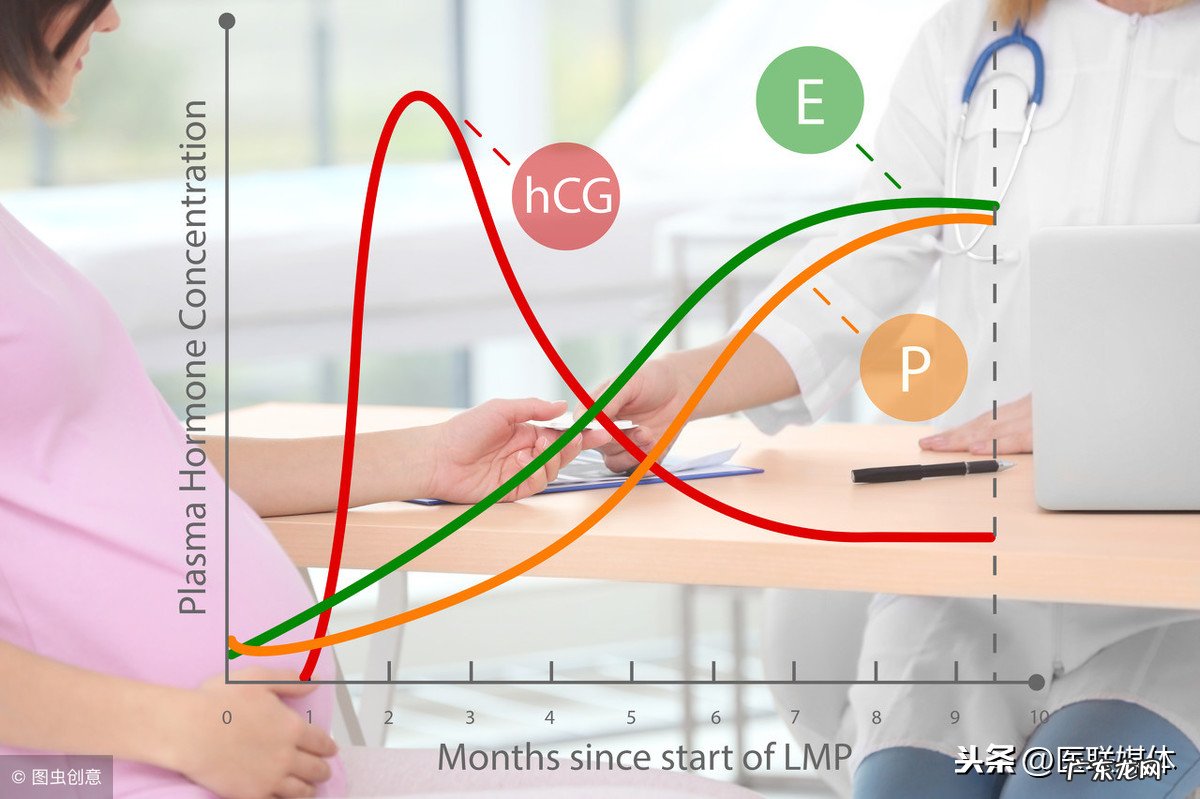 hcg对照表 hcg是什么意思