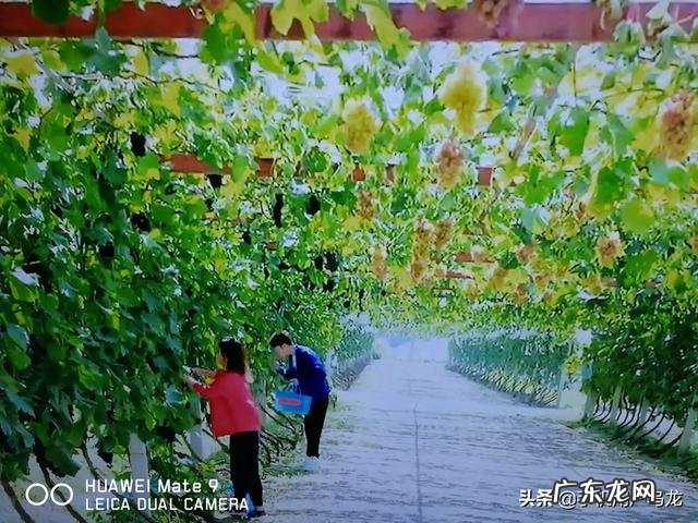 立秋将至你有哪些好的诗词赞美秋景?