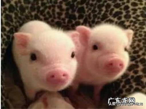 立秋将至你有哪些好的诗词赞美秋景?