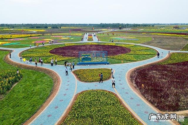 拍花朵有哪些构图技巧?