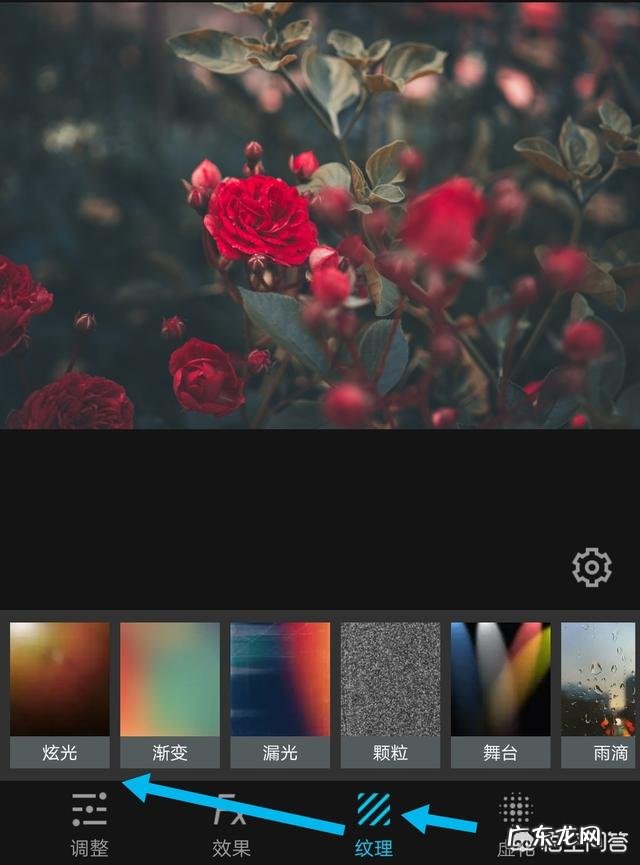 拍花朵有哪些构图技巧?