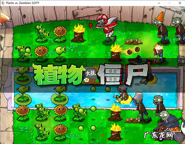 植物大战僵尸官网首页 植物大战僵尸中文版的游戏