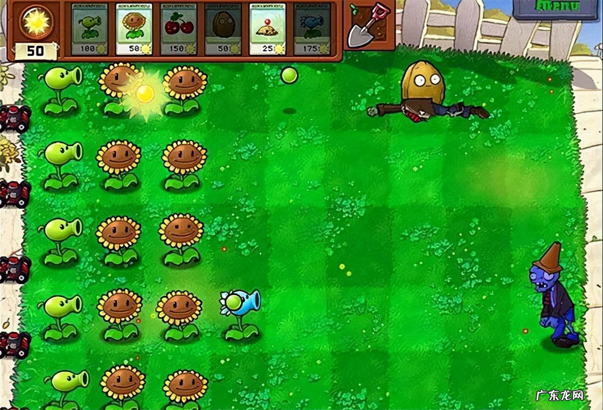 植物大战僵尸官网首页 植物大战僵尸中文版的游戏