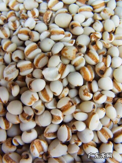 薏米水的美白效果怎么样?