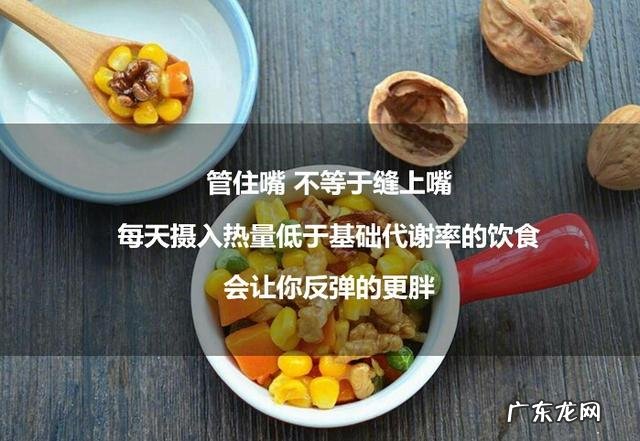 胖人怎么才能控制饮食?对于减肥该怎么去实行?