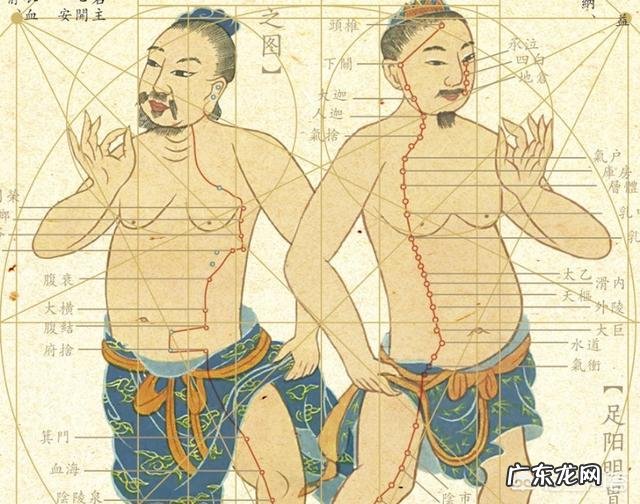 元胡有什么药用价值？