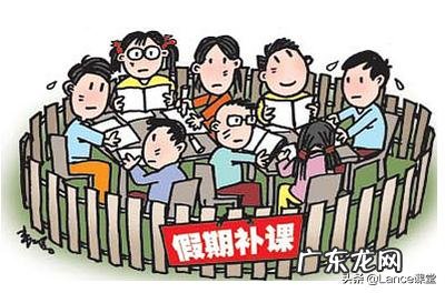 如何看待福建13名高考学霸联手办“暑期精品课程班”被叫停?