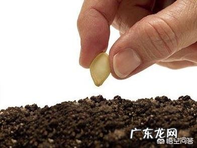 世界公认的最健康的作息时间表是如何安排作息的？