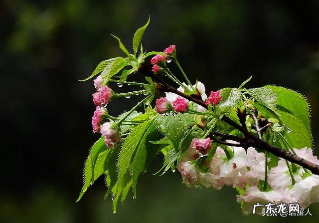 想收集一些民间朗朗上口的谚语,你有记得的吗?