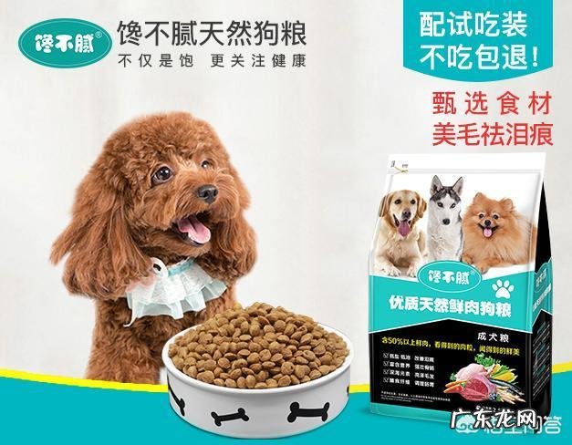 泰迪幼犬拉稀吃什么药？