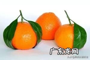 吃橘子对身体有何好处?