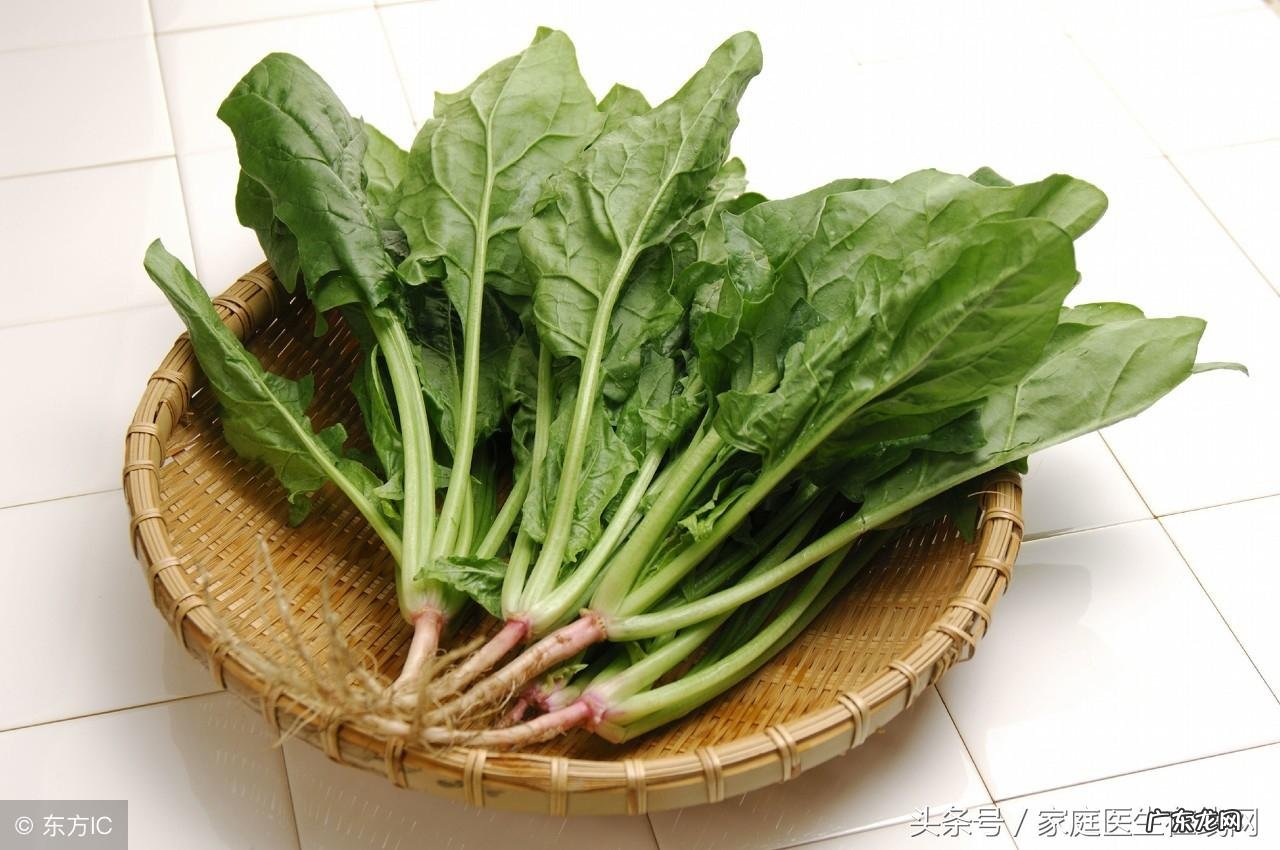 缺钙要吃什么食物补钙 人体缺钙吃什么食物最好呢