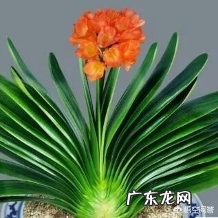 正月不能剪发,是有什么寓意吗?那应不应该剪呢?