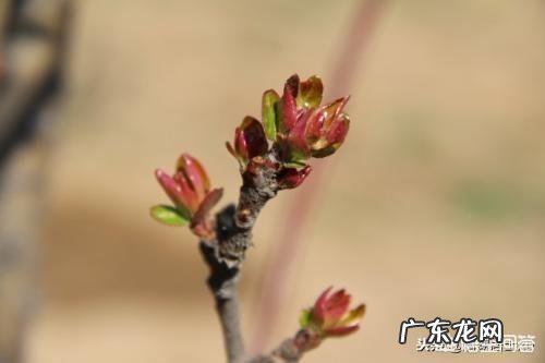 正月不能剪发,是有什么寓意吗?那应不应该剪呢?