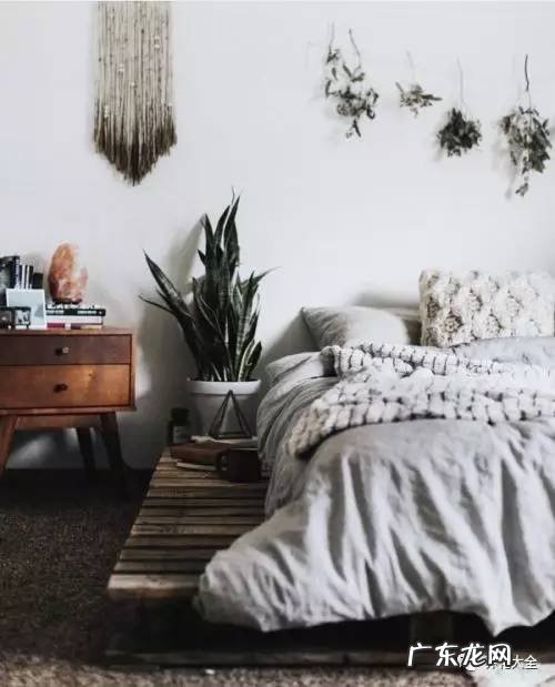 家里想要好风水,不如先从养一盆风水盆栽开始! 养什么风水好