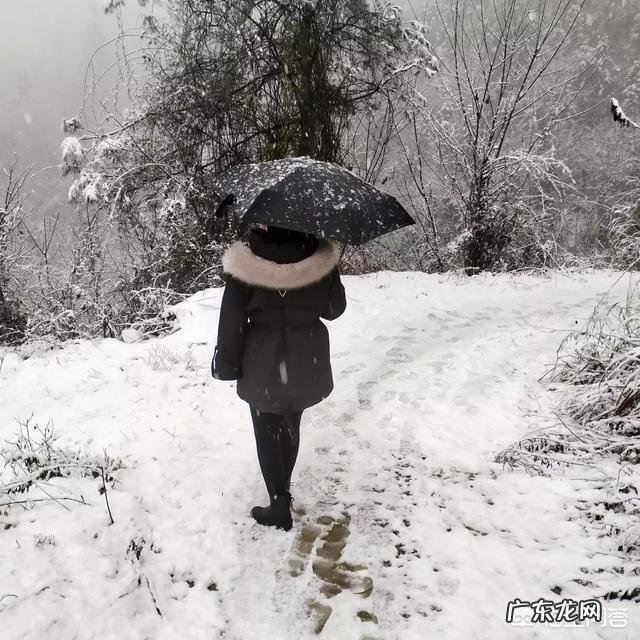 为什么内心强大的人能抗拒任何困难并走出逆境?