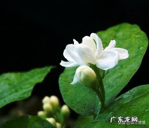 好诗的标准是什么?