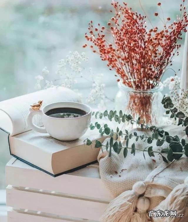 有哪些特别唯美，让你第一眼看到就心动的句子？