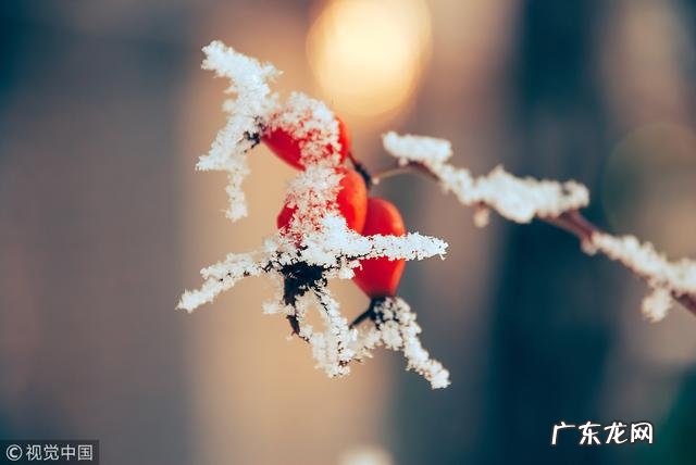 有哪些特别唯美，让你第一眼看到就心动的句子？