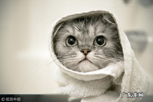 有哪些特别唯美，让你第一眼看到就心动的句子？