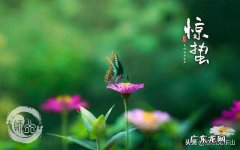 今天听到一句古话：惊蛰不冻虫，寒到五月中，这句话是什么意思？有道理吗？