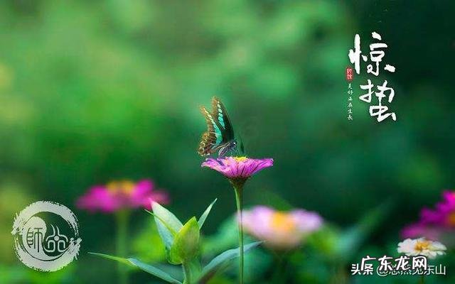 今天听到一句古话：惊蛰不冻虫，寒到五月中，这句话是什么意思？有道理吗？