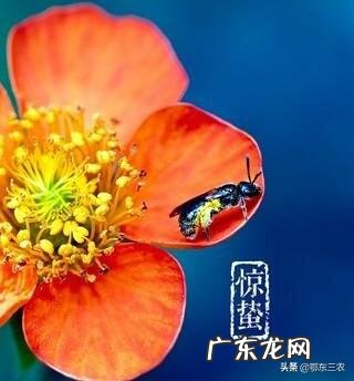 今天听到一句古话:惊蛰不冻虫,寒到五月中,这句话是什么意思?有道理吗?